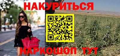 гидра Будённовск
