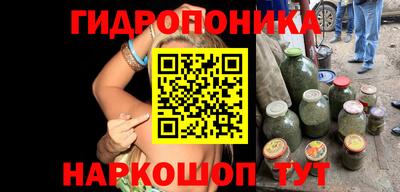 гидра Будённовск