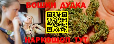 гидра Будённовск