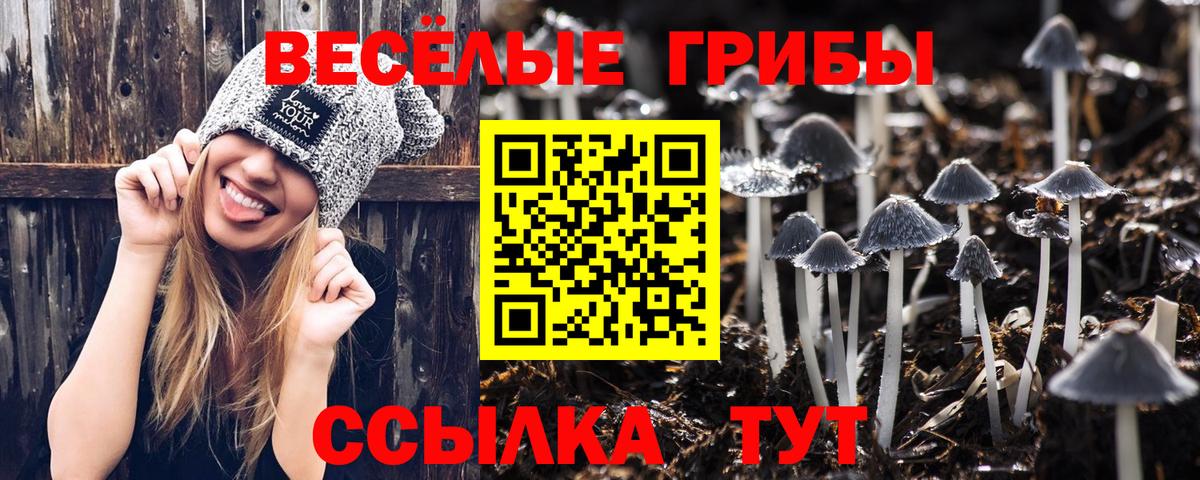 Баксан  Галлюциногенные грибы MAGIC MUSHROOMS  Вход с VPN  Псилоцибиновые грибы прущие грибы 